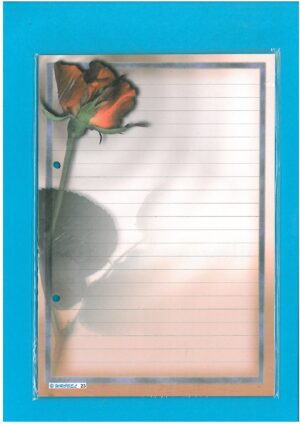 WKŁAD DO SEGREGATORA A-5 WZÓR WS13