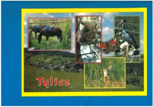 TYLICZ POCZTÓWKA WIELOWIDOKOWA LATA 2000